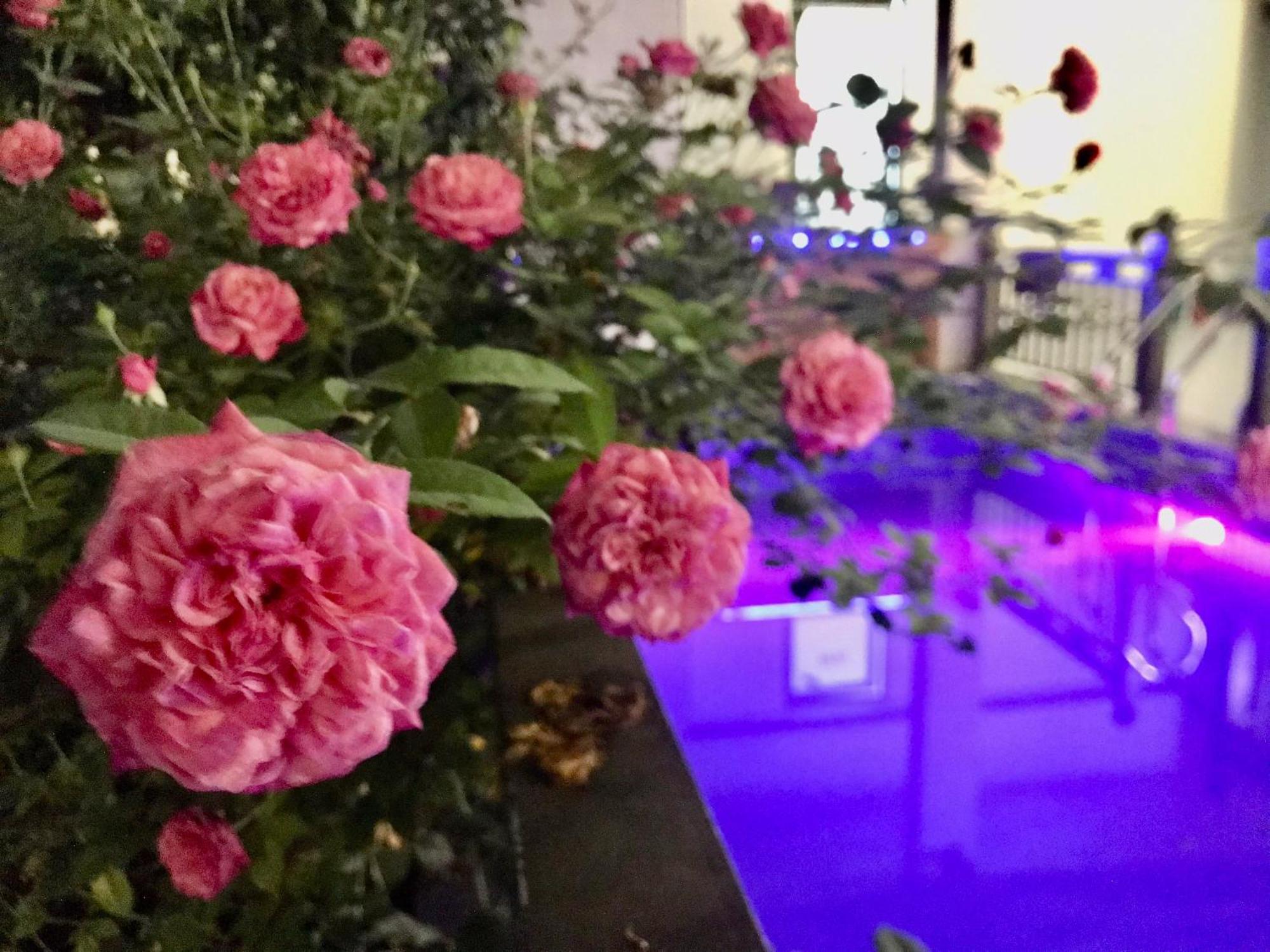 A Thia Homestay Diện Biên Phủ Buitenkant foto